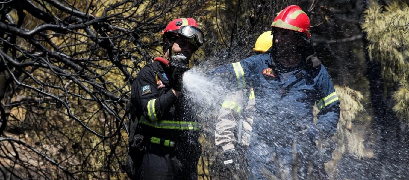 Φωτιά σε δασική έκταση στον Έβρο